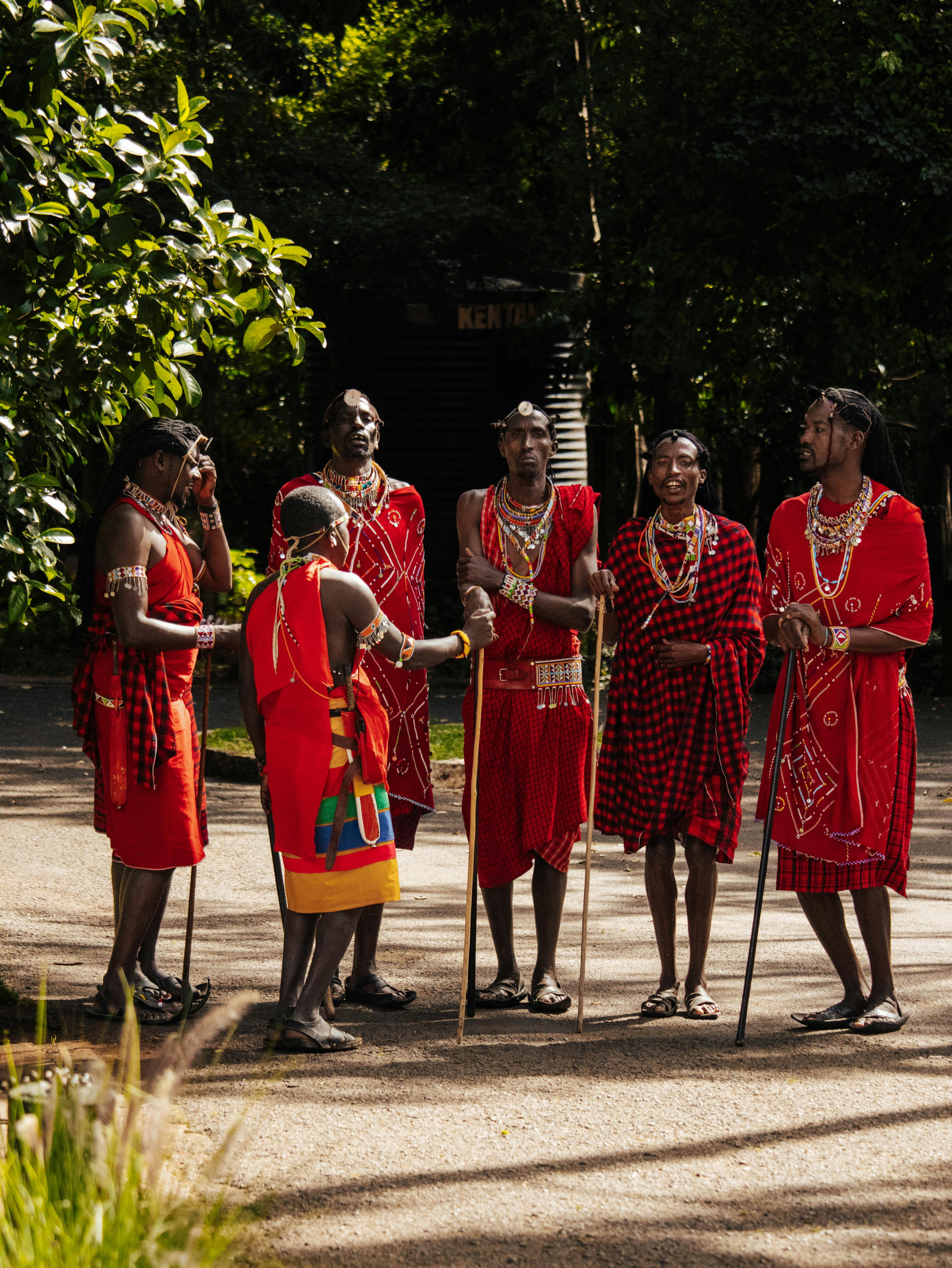 Beyond Intuition: Why Data Literacy is the New Language of African Governance